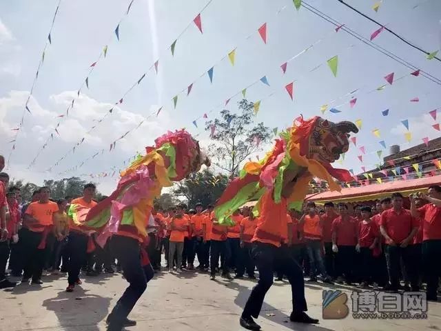 博白姓氏人口_博白空心菜图片(3)