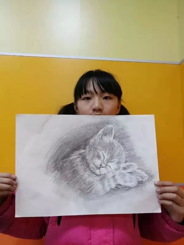 黑白的表现力一组憨态可掬的动物素描作品