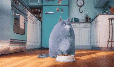 bf421942671c479b9e30ff03d9d00713.gif