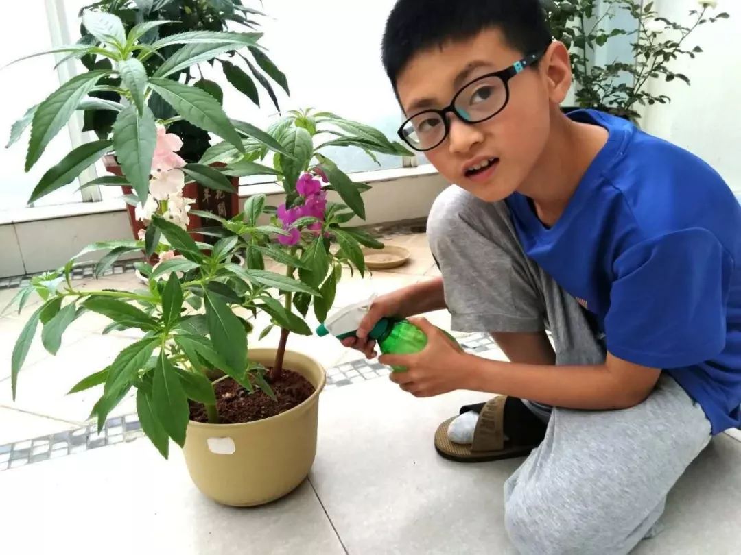 我和蚕宝宝一起成长——记三年级"种花养蚕"系列活动