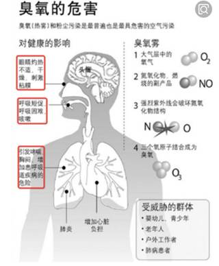 吸收的原理是什么意思_什么是牙槽骨吸收