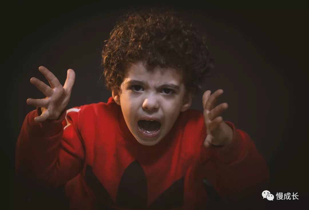 父亲是棵树电影 d37c866b0c6845979da26fd2ae9d2242.jpeg