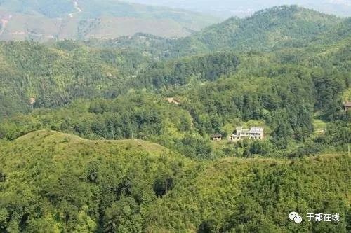 于都县岭背镇GDP_于都县岭背镇东坑村