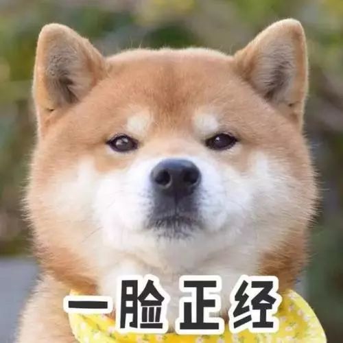 为什么这么多人喜欢养狗呢 ea2ee65143d94b5c84db7398fa798956.jpeg