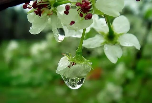 班得瑞《雨韵》，给夏日一丝清凉！