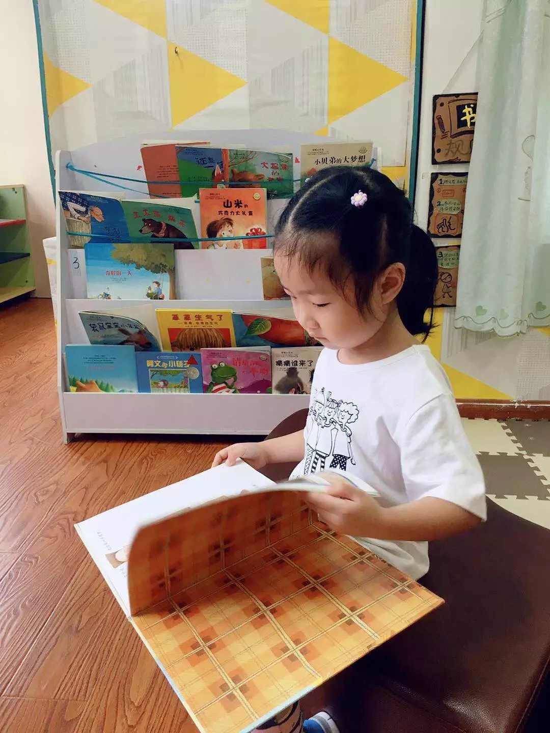 陪娃读书好书推荐 f953adb223b24366ac88d29626e91b03.jpeg