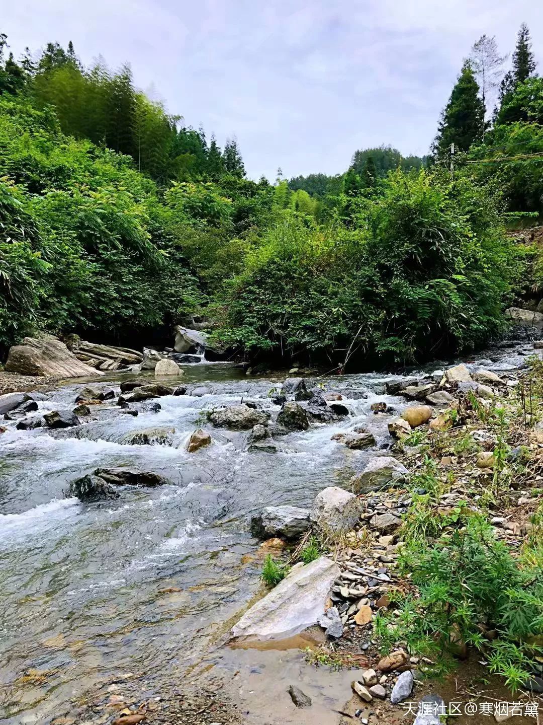 遇到山洪暴雨,河流的水是浑浊的,而这小溪却依然清澈如故