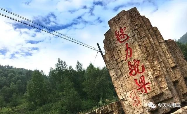 周末两天|南驼梁、穿越扎营|7月金莲花开,户外