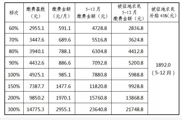 灵活就业人员,2019年度养老保险缴费有变,快看!_基数