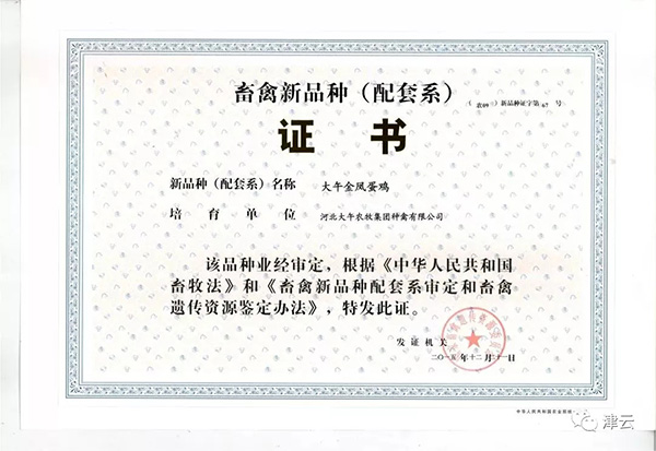 院士候选人杨宁技术剽窃