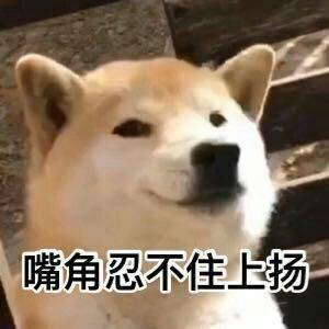 嘴角忍不住上扬