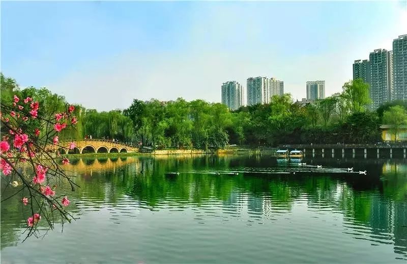 大渡口公园.大渡口发布