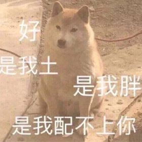 再冷血无情的年轻人,看到这两张表情包都得当场跪舔!