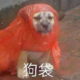 再冷血无情的年轻人,看到这两张表情包都得当场跪舔!