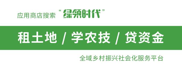 农村人口地_“新土地承包法”来了!农村新增和去世人口土地,这样处置