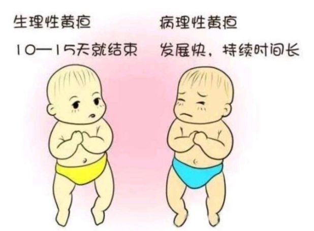 黄疸指数不仅可以预测婴儿是否存在病理性黄疸的情况,又能了解宝宝