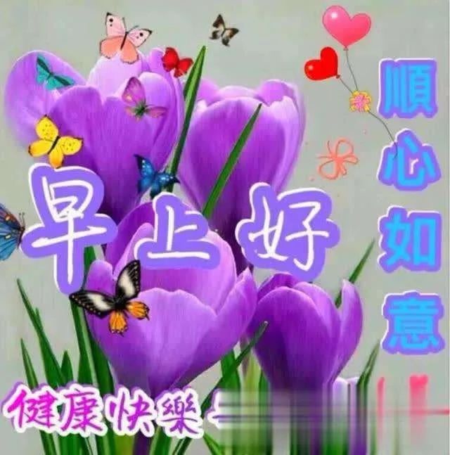 2019群发早上好问候动态表情图片 最新版早晨问候祝福