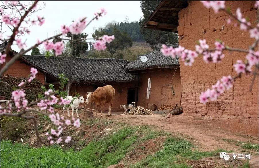 永丰县多少人口_永丰县四桥规划图