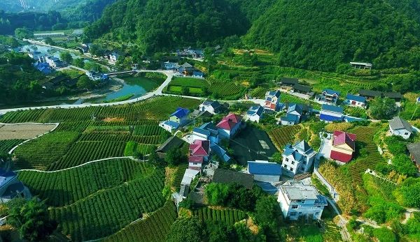 到2020年 湖南省人均_湖南省2018年速写范画(3)