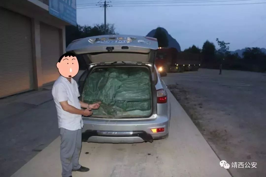 龙邦镇人口_人口普查