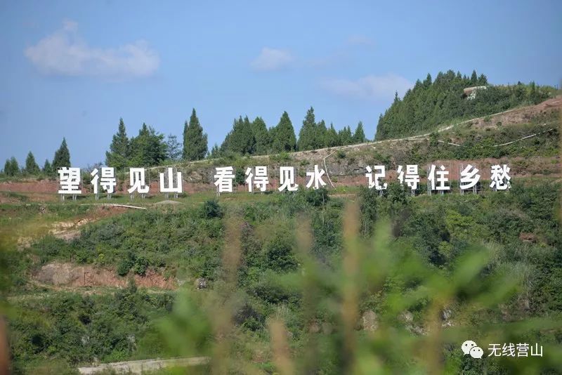 美丽南充网红新村乡村旧貌换新颜营山千丘村等您来打卡