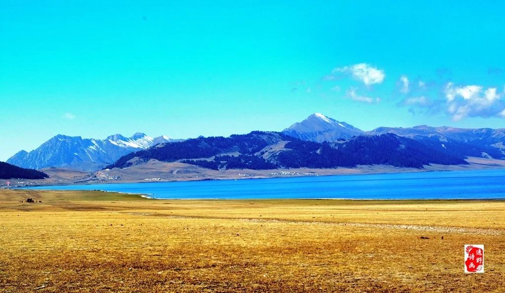 赛里木湖在哪能看原视频 473a2ad0ad6e4ad7acadf205ffc209c7.jpeg