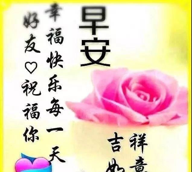 最美早上好动态图片表情带字和鲜花,早安问候语配动态
