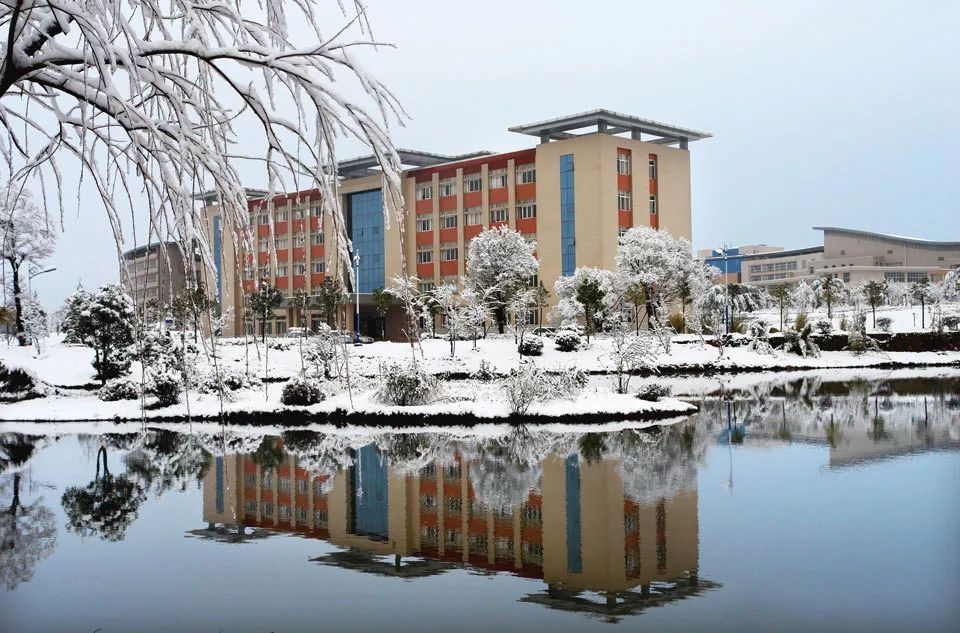 曲靖师范学院,霸气!