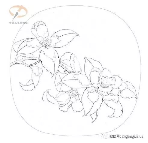 《临宋雪霁山茶图》绘制步骤图,供初学的朋友们参考。 金百利宫娱乐