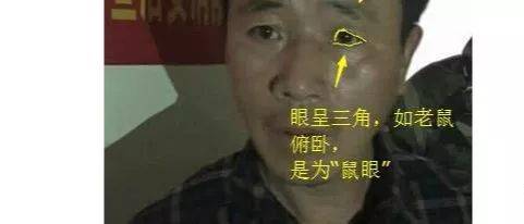 51511a77348b4a819529922faf54691d.jpeg