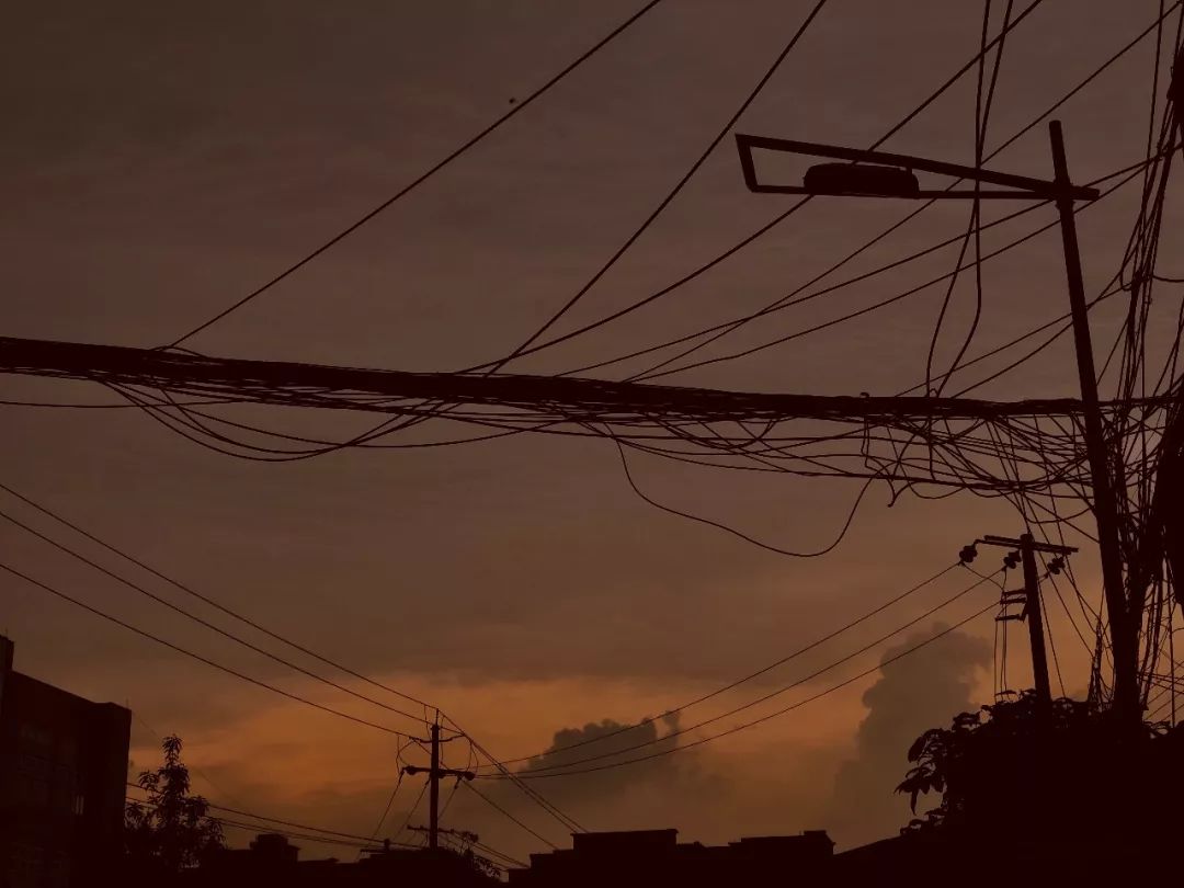 纺专的夜 | 你爱了没