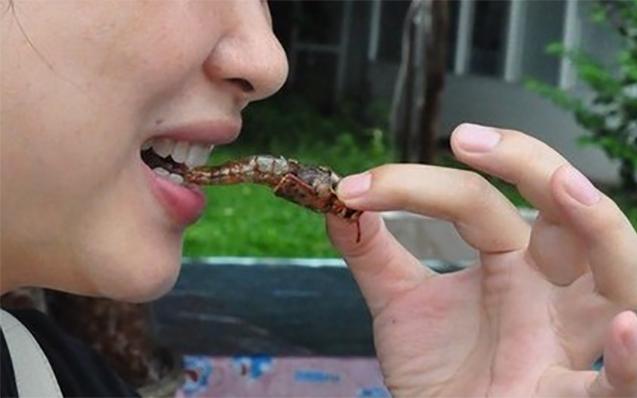 完国内黑暗料理,有胆子的敢试试泰国的船蛆吗