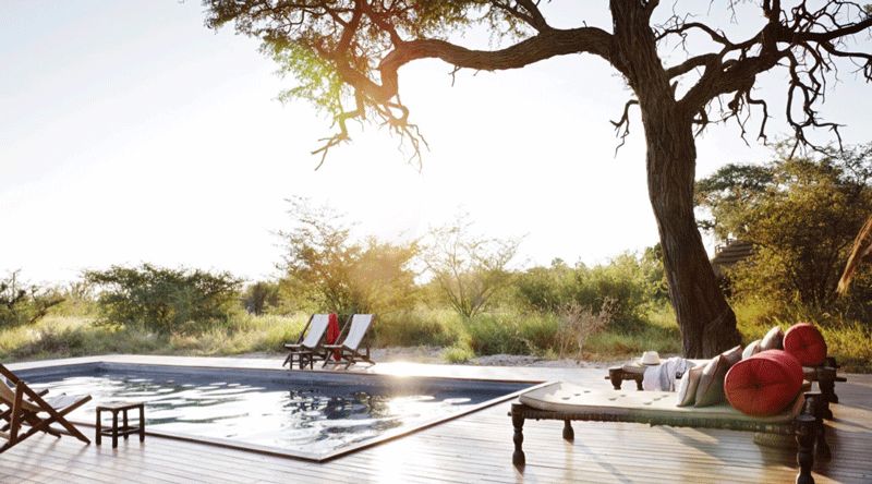 博茨瓦纳奥卡万戈和玛卡迪卡迪盐沼飞机游猎1