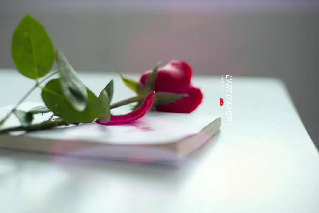 时光,留不住昨天 ; 缘分,停不在初见