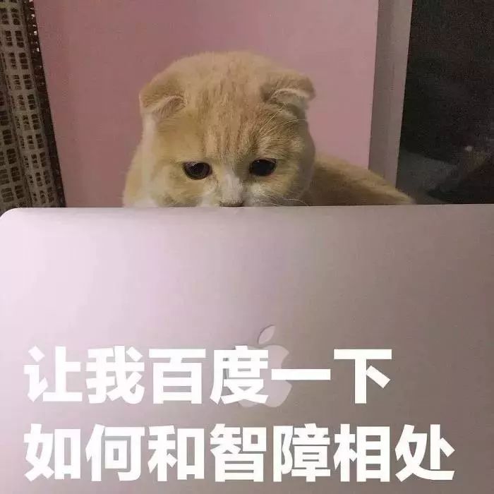微信斗图搞笑表情包,熊猫头沙雕表情包,天线宝宝表情 返回搜