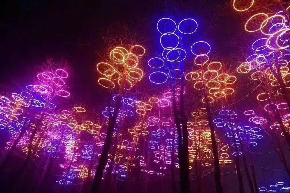 大塘金薰衣草庄园 — 数字花海灯光节即将开始啦