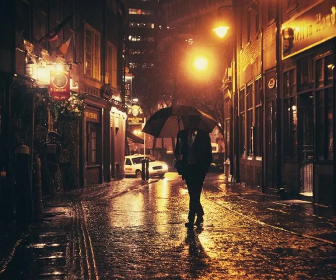 【春辉之声】夜雨 文/刘华文 朗诵:张春辉