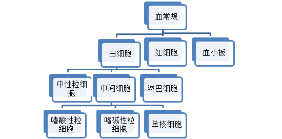 一文读懂血常规报告单