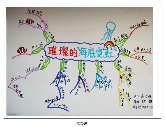 "将科普文章变成思维导图"活动 ▏第三期:《沙漠——隐藏在荒凉外表下