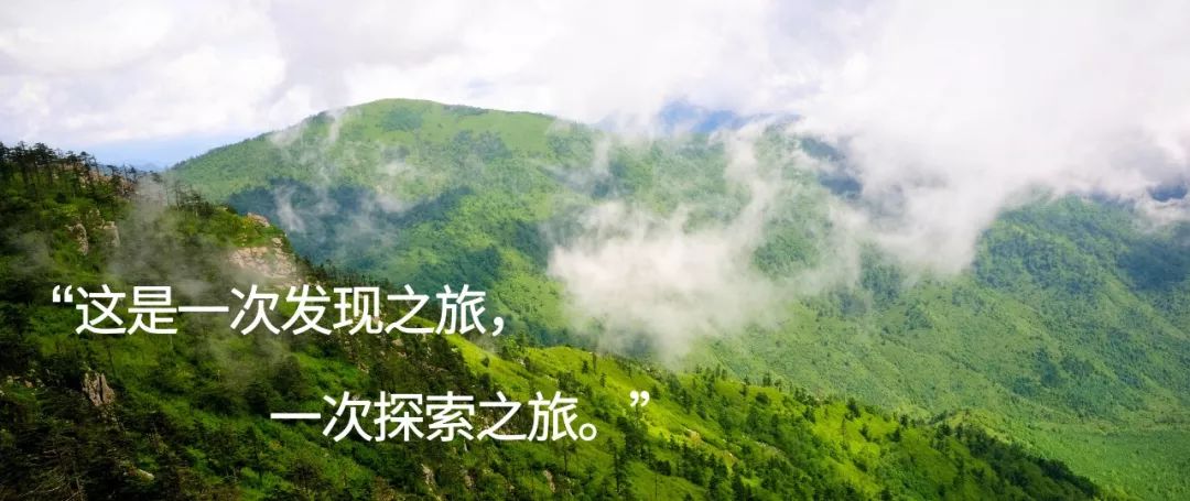 和糊糊妈妈一起去秦岭夏令营?这么好的机会,可