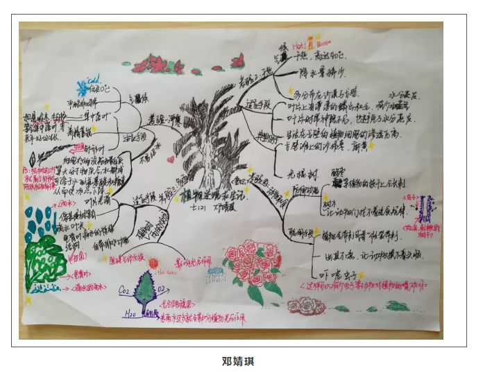 "将科普文章变成思维导图"活动 ▏第三期:《沙漠——隐藏在荒凉外表下