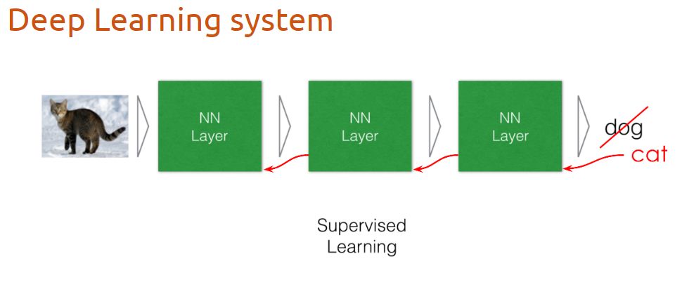 五天入门pytorch深度学习,实战礼包推荐