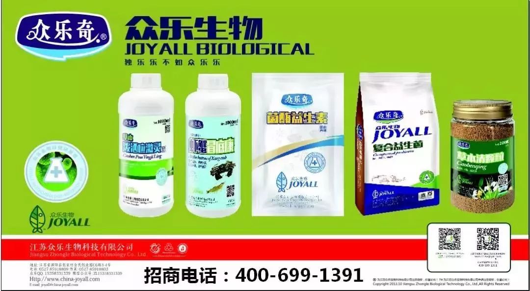 最高价100元/斤!江门养殖近10000亩,淡水澳龙会成为养殖行业的下一个“风口”吗? 888真人集团888am
