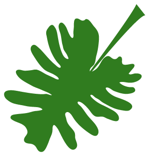 什么时候贴三伏贴2022 9958f3a80f024e508256dfd7e5f6e03c.png