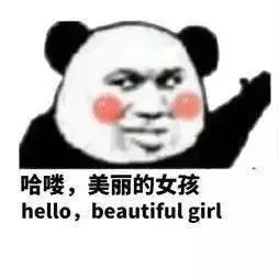 微信斗图搞笑表情包,熊猫头沙雕表情包,天线宝宝表情 返回搜