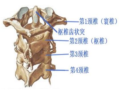 早起头晕想吐怎么办