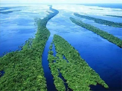 【科普】世界最大河流亚马逊,大到了啥程度?不比没概念,一比太震撼!
