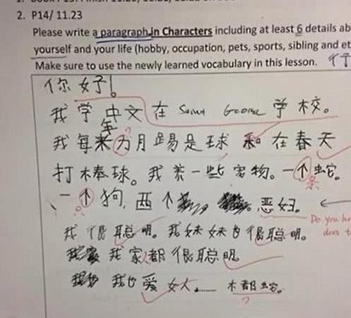 中文10级究竟有多难?外国友人奔溃!