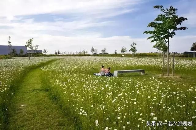 乡村旅游的生产性景观设计-搜狐大视野-搜狐新闻