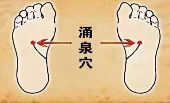 9f8f95e92d424fb49a4c69679ded88a8.jpeg